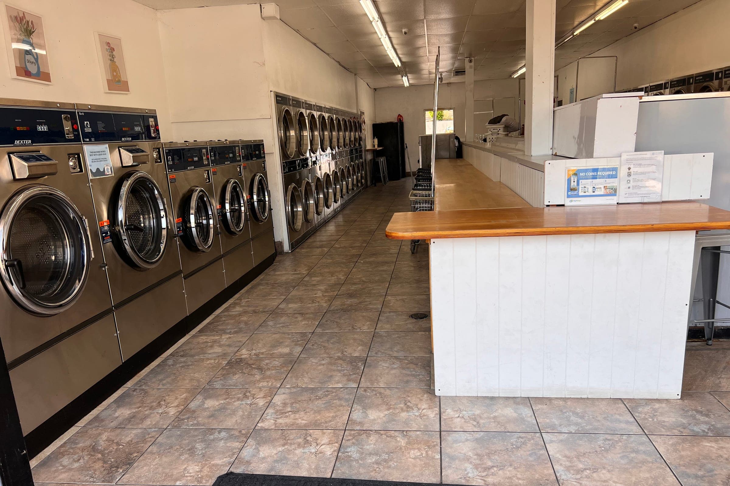 Inside Lake Forest Laundry: a row of Dexter washers, the folding counter, and large dryers at the back